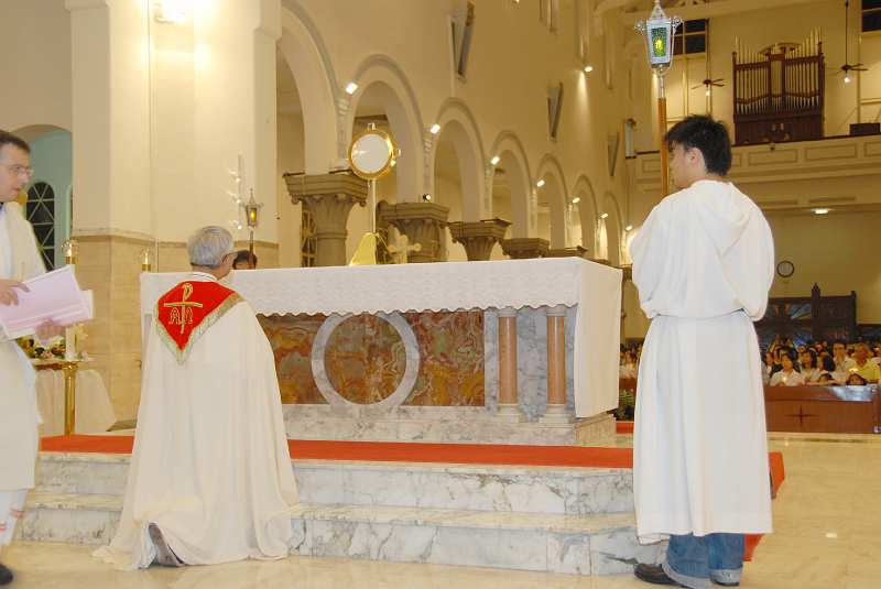 DSC (362)